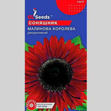 Соняшник "Малинова королева" GL (1г) 532 фото