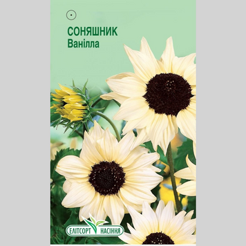 Соняшник "Ванілла" Еліт (0,3г) 533 фото