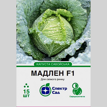 Капуста савойська "Мадлен F1" Спектр (15шт) 185 фото