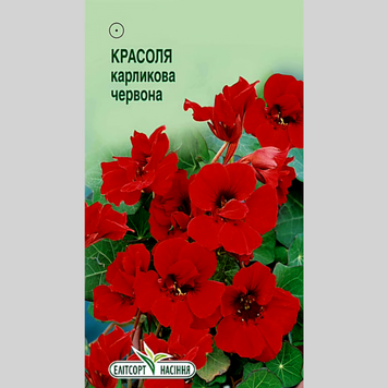 Красоля "Карликова червона" Еліт (10шт) 487 фото