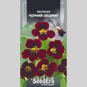 Настурція "Чорний оксамит" Seedera (1г) 488 фото