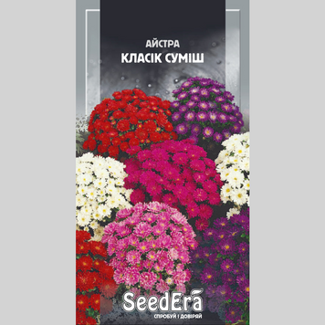 Айстра "Класік суміш" низька Seedera (0,25г) 437 фото
