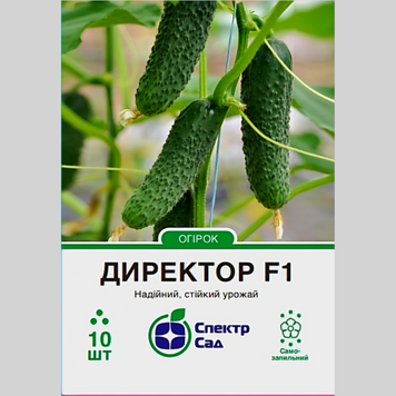 Огірок "Директор F1" Спектр (10шт) 037 фото