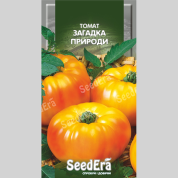 Томат "Загадка природи" Seedera (0,1г) 120 фото
