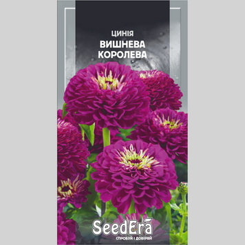 Цинія "Вишнева королева" Seedera (0,5г) 500 фото