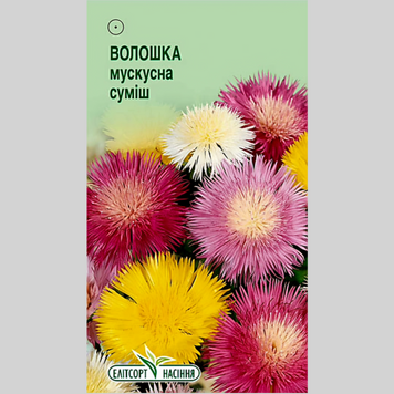 Волошка "Мускусна" Еліт (0,5г) 450 фото