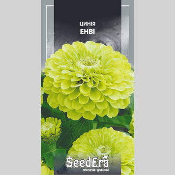 Цинія "Енві" Seedera (0,5г) 501 фото