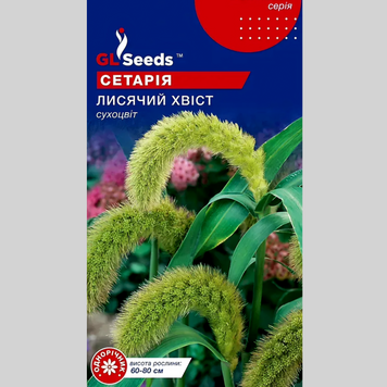 Сетарія "Лисячий хвіст" сухоцвіт GL (1г) 552 фото