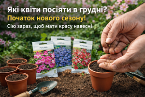 Які квіти посіяти в грудні? Початок нового сезону! Сію зараз, щоб мати красу навесні фото