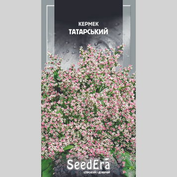 Кермек "Татарський" багаторічний Seedera (0,1г) 563 фото