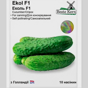 Огірок "Еколь F1" Beste Kern (10шт) 015 фото