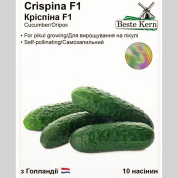 Огірок "Кріспіна F1" Beste Kern (10шт) 016 фото