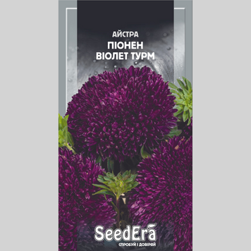 Айстра "Піонен Віолет Турм" Seedera (0,25г) 440 фото