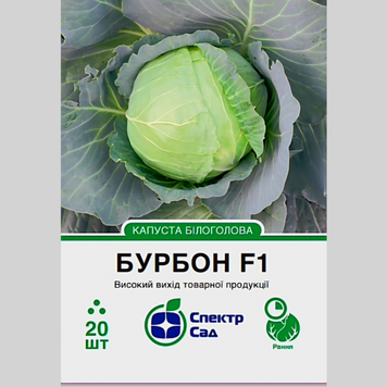 Капуста середньостигла "Бурбон F1" Спектр (20шт) 172 фото